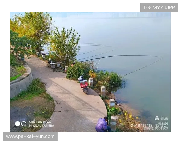 南湖大道主场失分，积分榜位置继续脱离保级线，南湖大道施工