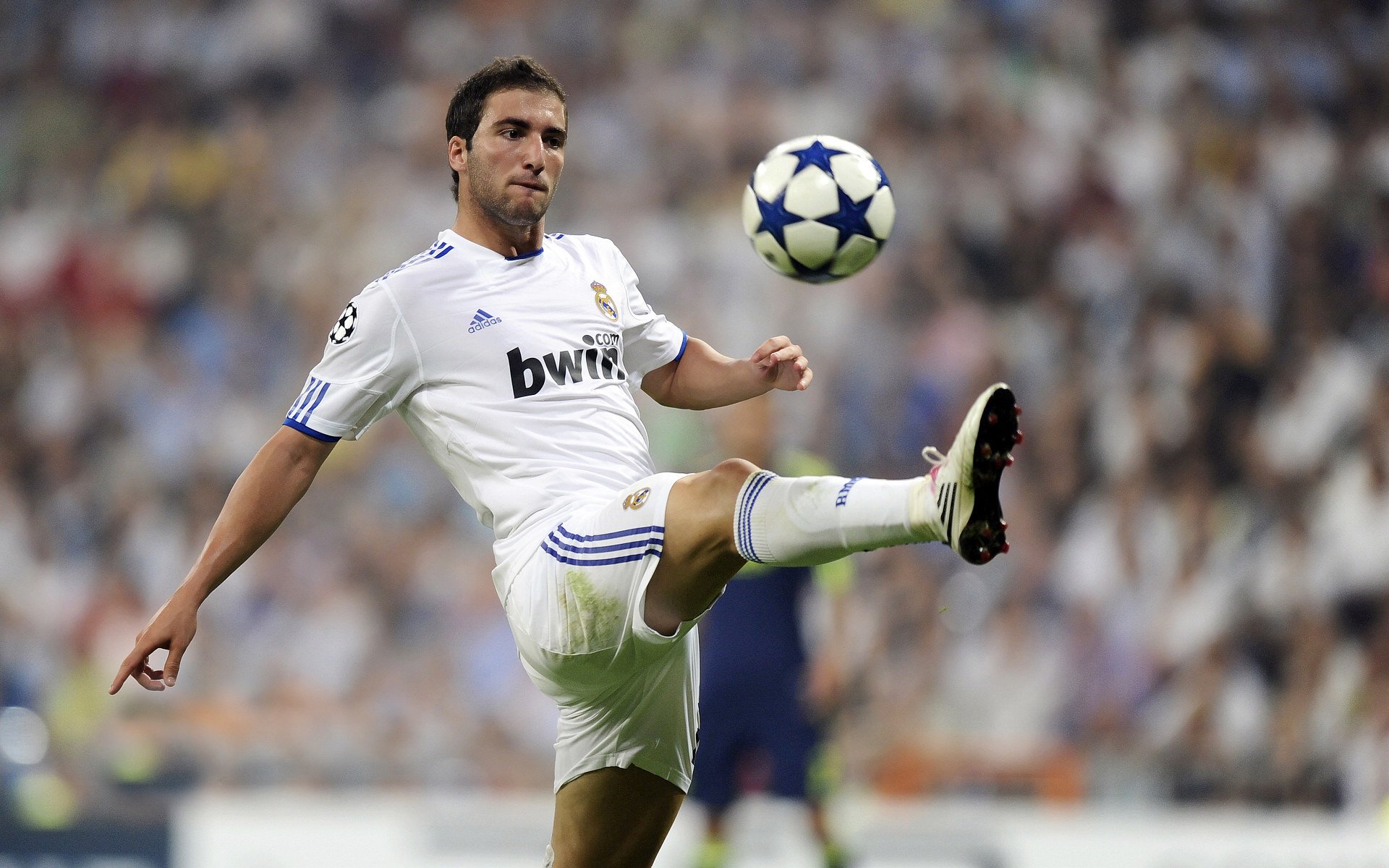 上海申花连续7场亚冠未零封对手，1-3不敌柔佛新山，上海申花亚冠名单